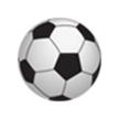 南充队